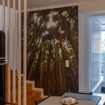 Aurora بيت شباب أنغرا دو إِراويزو