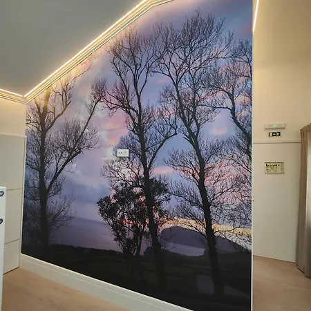 Aurora بيت شباب